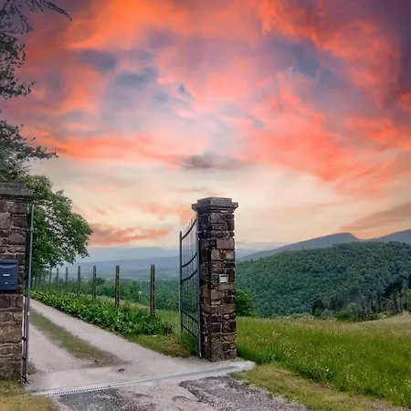 Giuliana Couette-café Scarperia