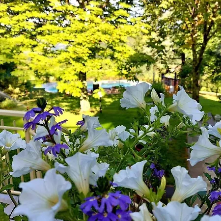 Giuliana 4* Scarperia